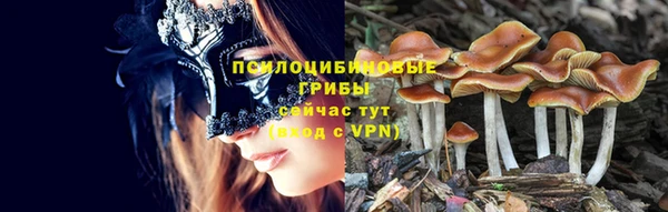 крисы Елабуга