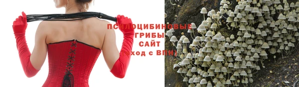 мет Елизово