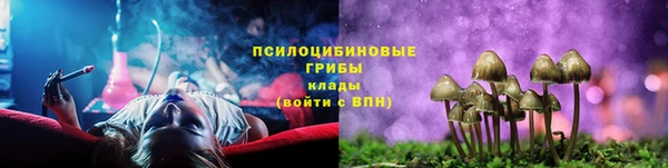 экстази Ельня