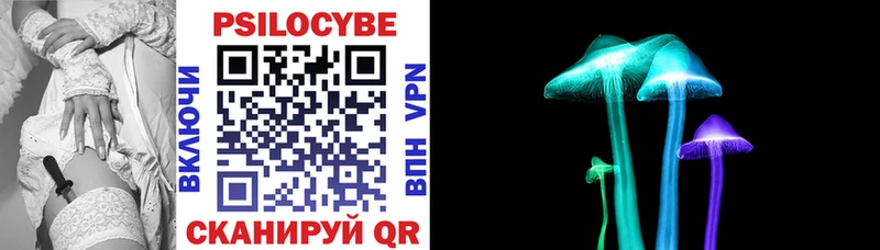 Псилоцибиновые грибы Psilocybe  Свирск 